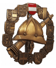 Feuerwehrleistungsabzeichen in Bronze