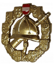 Feuerwehrlesitungsabzeichen in Gold